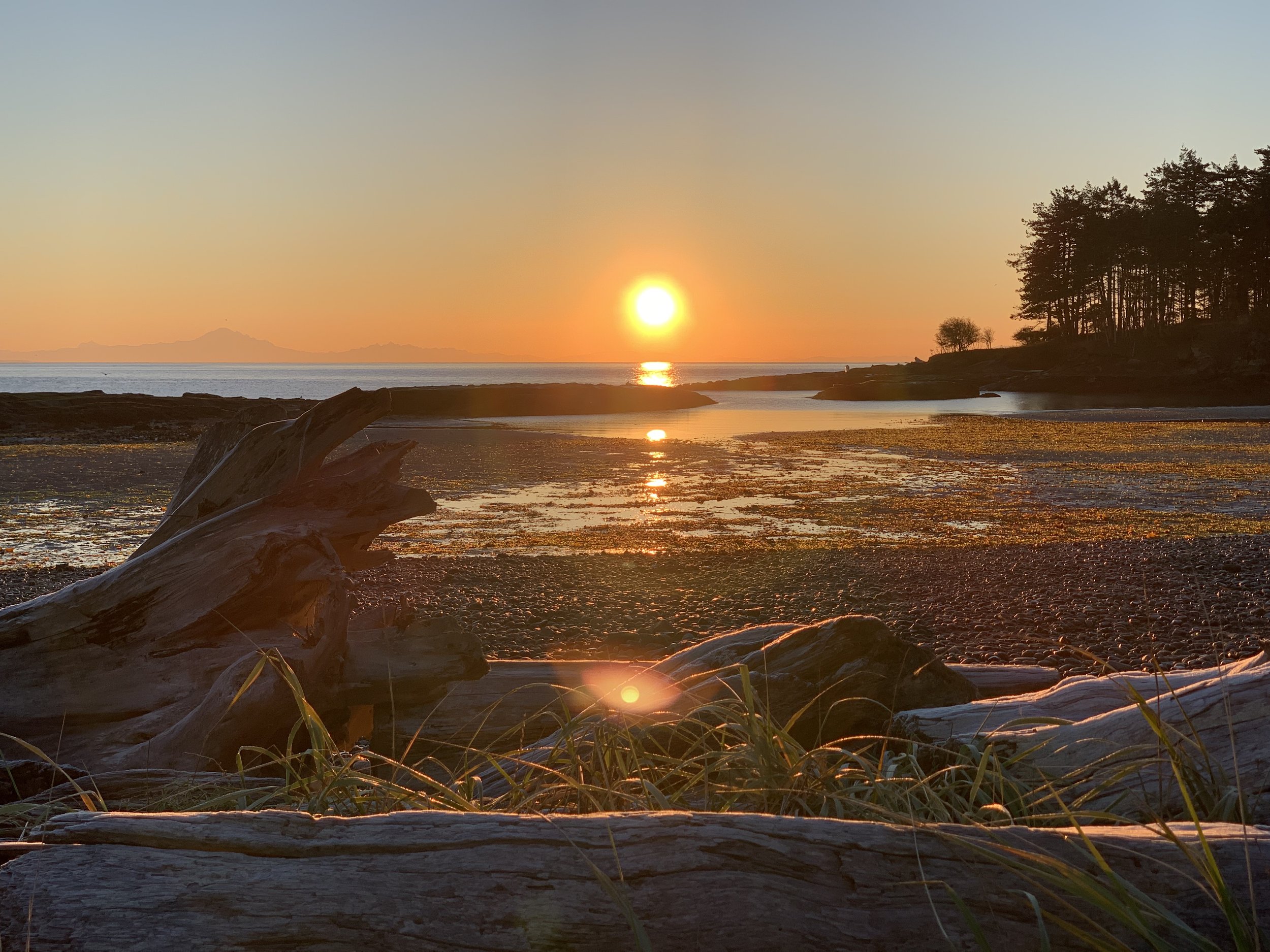 Learn more about Galiano Conservancy & Marine Education
